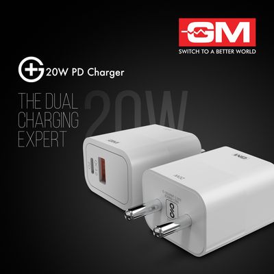 GM 20W Dual Port Charger (1Year Warranty)
