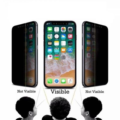 Privacy Glass Full Screen (Regular)