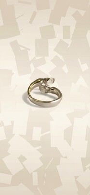 Equestrian Collection