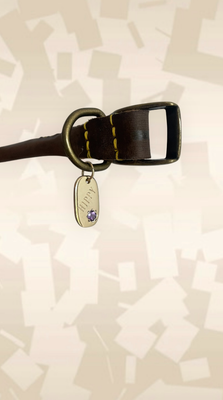 Pet Accessories