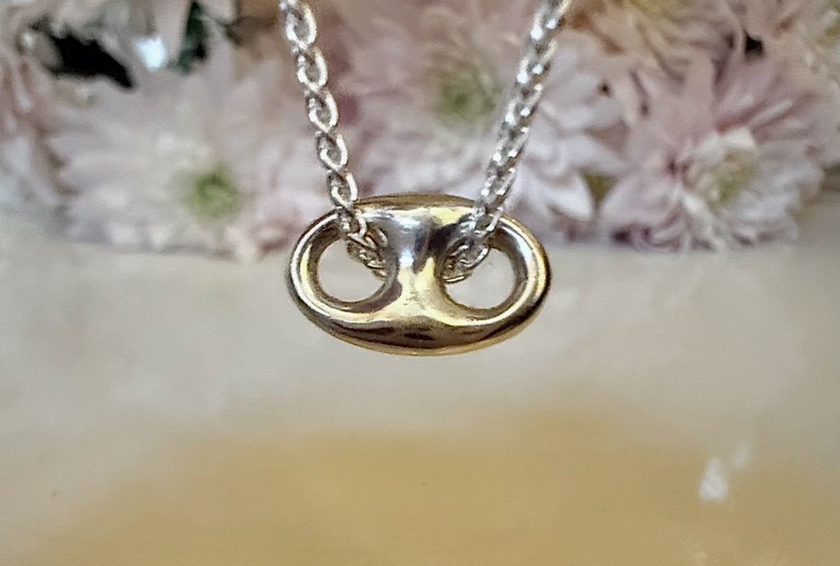 Anchor link necklace - silver