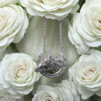 Horse head in shoe necklace - silver