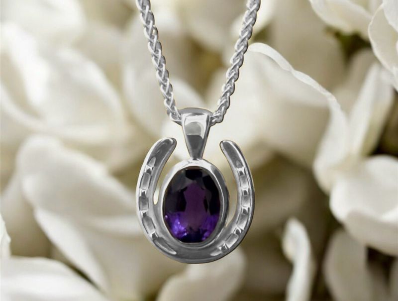 Halo horseshoe necklace - silver