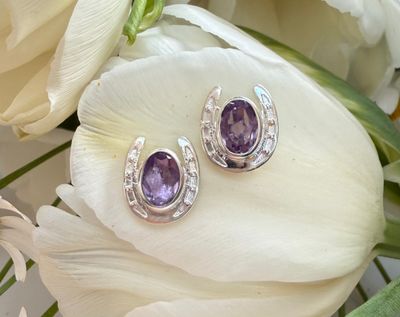 Halo horseshoe earrings - silver