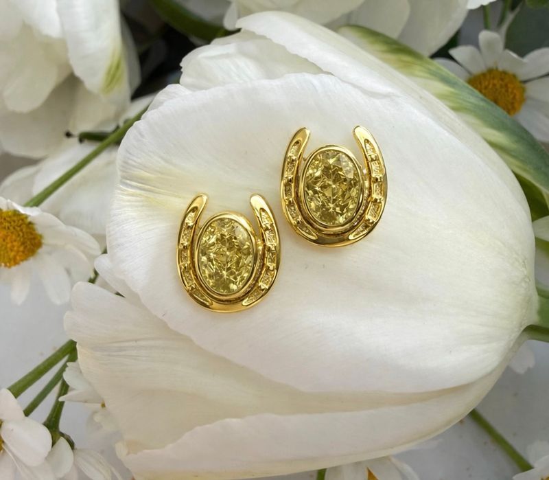 Halo horseshoe earrings - gold