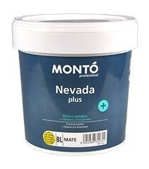 Nevada, pintura plástica