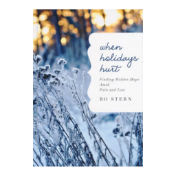 When Holidays Hurt: Finding Hidden Hope Amid Pain and Loss Hardcover
