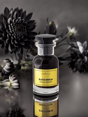 BLACK DAHLIA