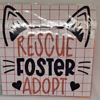 Cat Rescue, Foster, Adopt