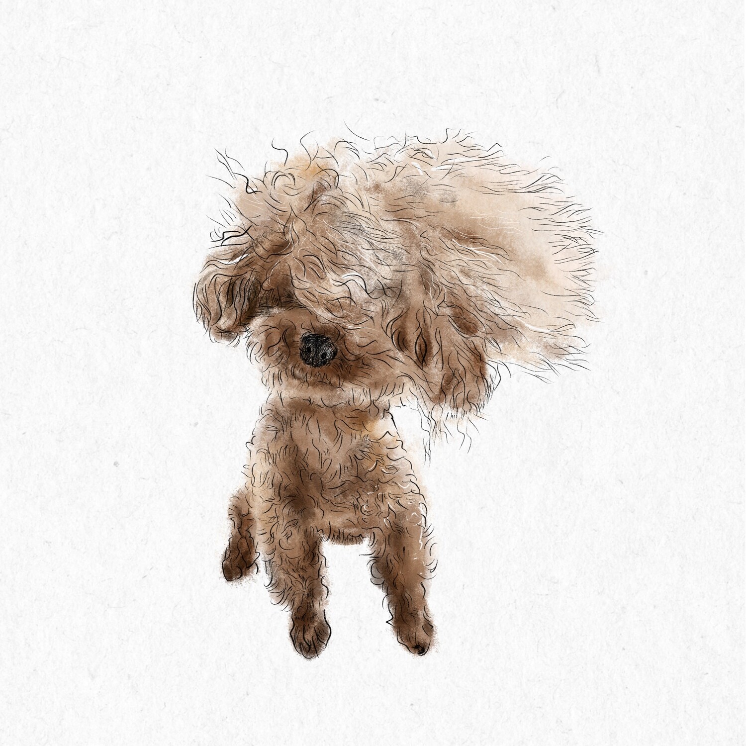 Custom PET(dog,puppy, cat, mouse,bird...) Face Drawing from Photo - Personalized Pet Portrait - Digital JPG Download for DIY Projects - Detailed Pet Drawing for Crafting-------single pet