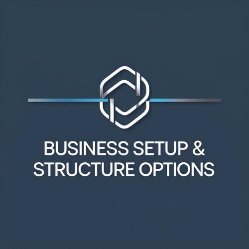 Business Setup &amp; Structure Options - June 12, 2 PM - Online Attendance