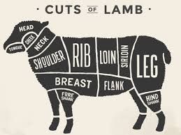 Lamb