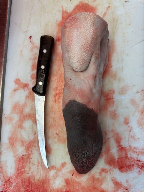 Beef Tongue
