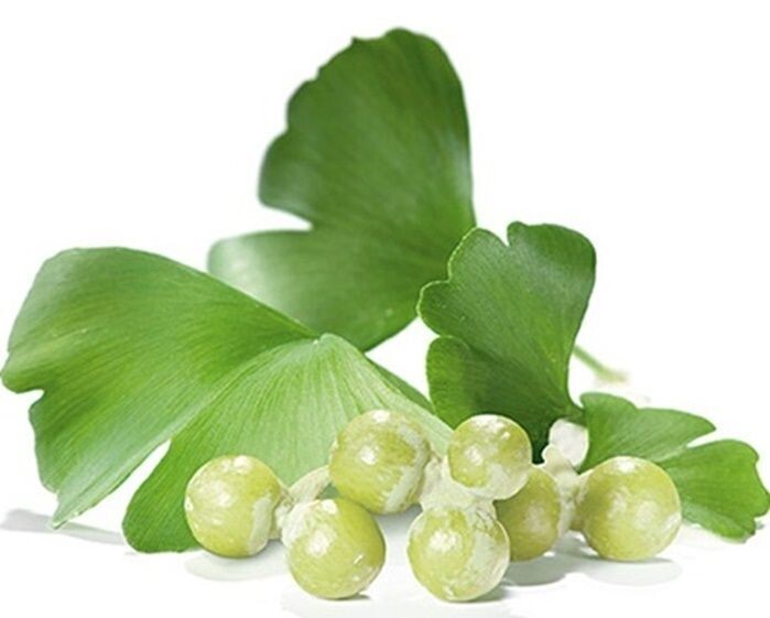 Ginkgo Biloba. Arbol de los Cuarenta Escudos
