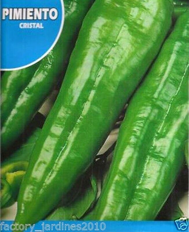Pimiento Cristal. 1 Gr / 200 Semillas