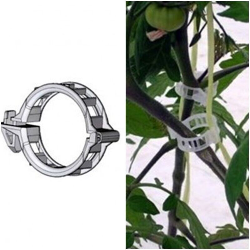 100 Clip Anillo. Sujeción O Entutorar Plantas de huerto