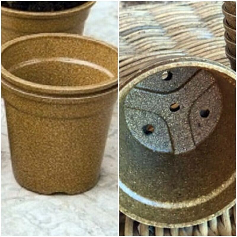 10 Maceta de Arroz 100% Biodegradable. Ecológica