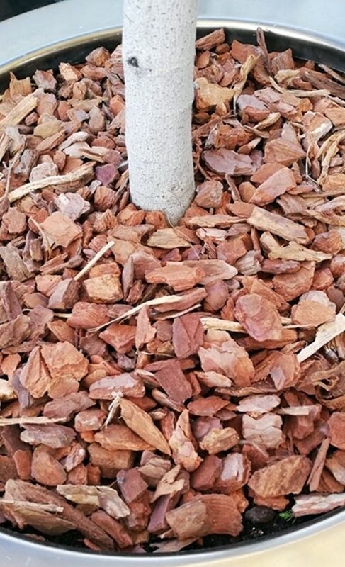 Corteza de Pino. Decorativa y para Drenaje. 70 Litros