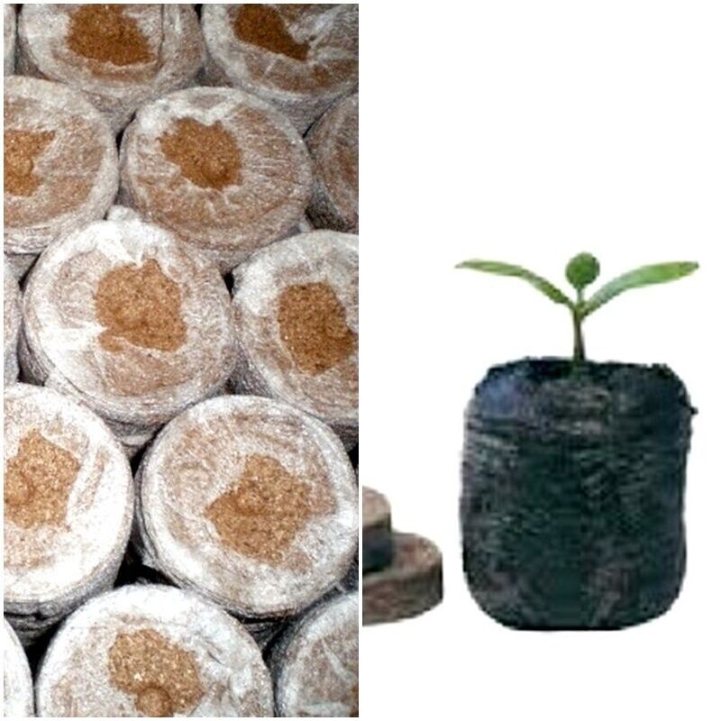 10 pastillas de Turba Jiffy. Ø 4,5cm