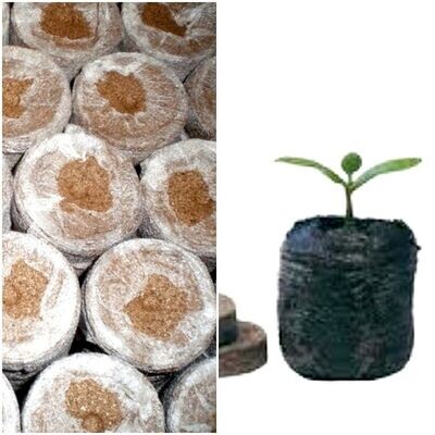 100 pastillas de Turba Jiffy. Ø 4,5cm