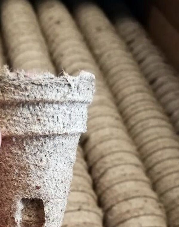 50 Mini Macetas redondas Jiffy Pot. Ecologico y biodegradable. 4,5 x 4,5