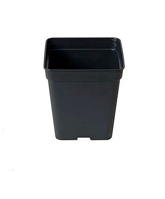 Maceta Cuadrada en Negro. 13x13x13cm (2L)