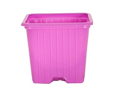 Maceta Cuadrada en Rosa. 7x7x6cm (0,20L)