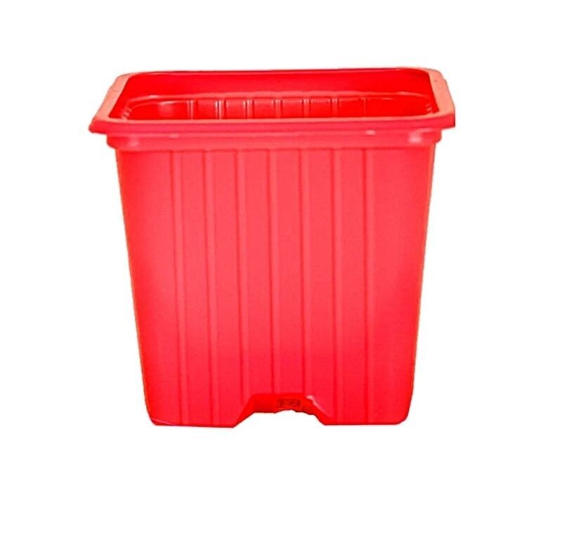 Maceta Cuadrada en Roja. 7x7x6cm (0,20L)