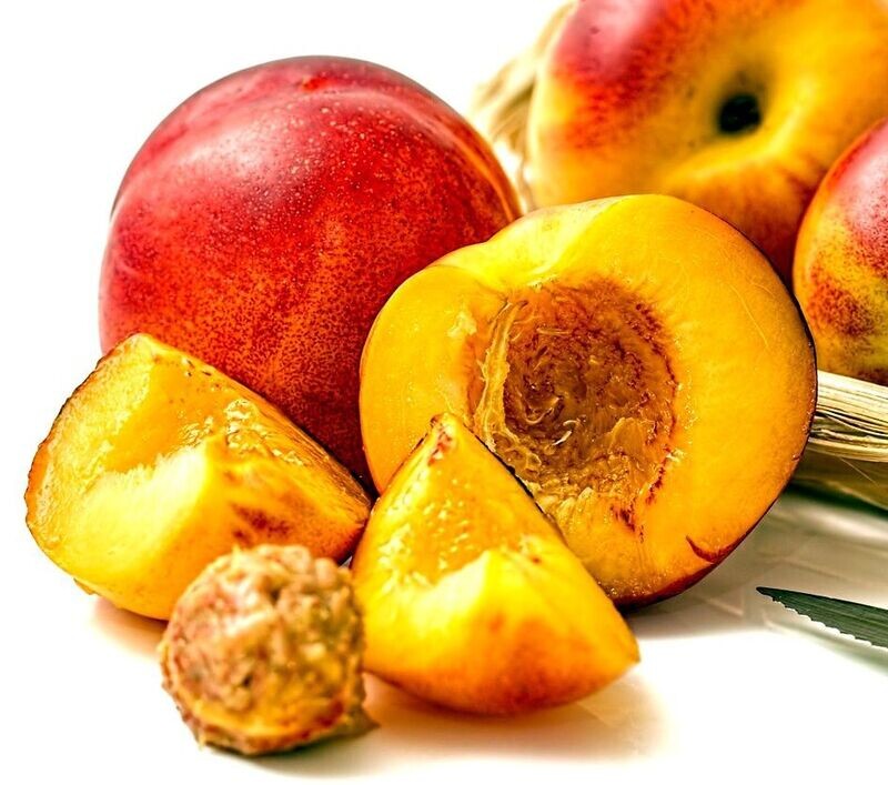 Planta Frutal Nectarino Big Top. Nectarina. Fruto dulce y sabroso