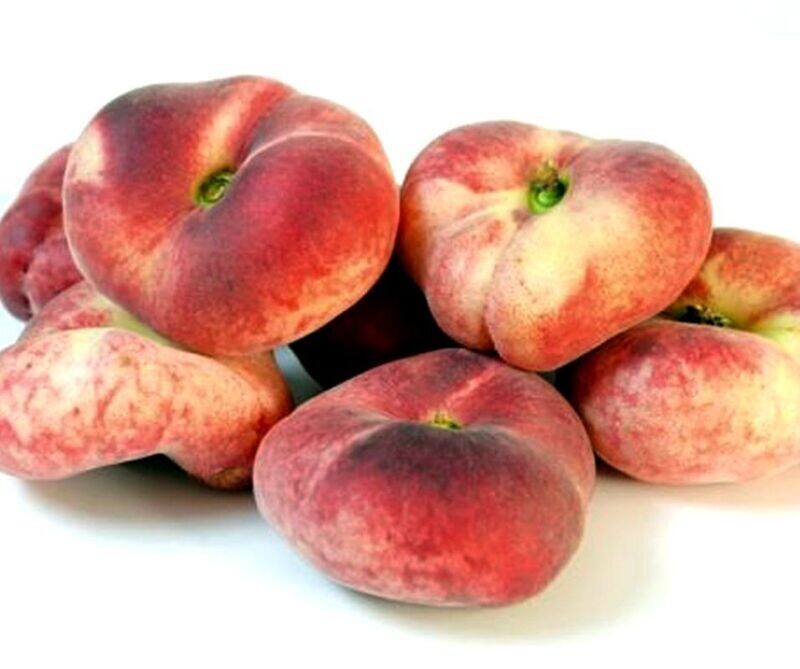 Frutal Melocotón Paraguayo. 80 - 100 Cm