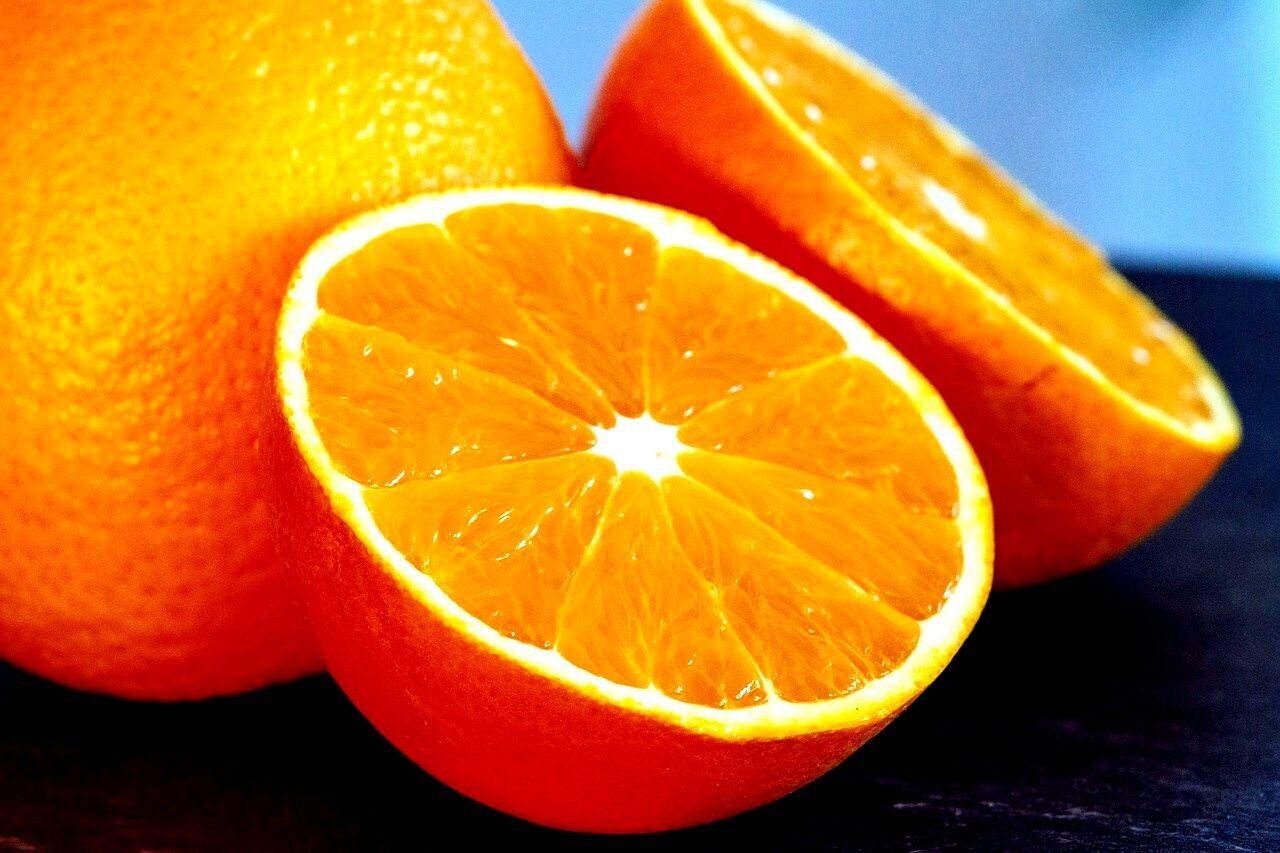 Planta Naranjo Salustiana. La Mejor Naranja