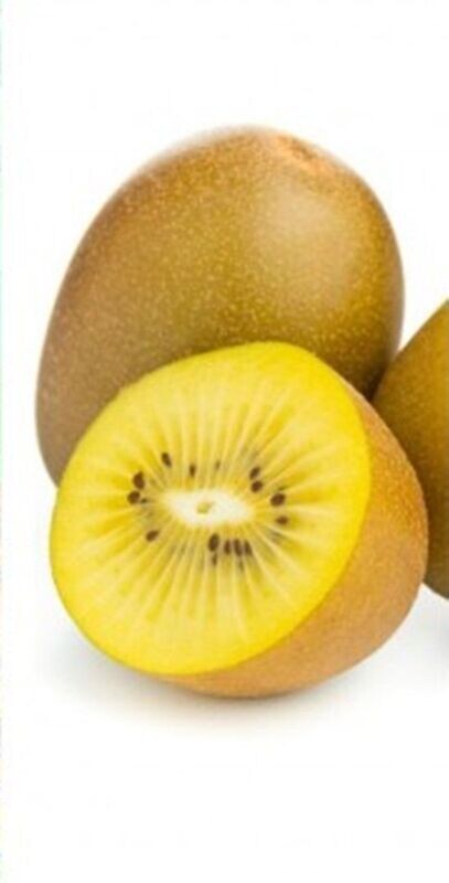 Planta Kiwi Golden Hembra. Polinizar con Macho Atlas. 30-40 Cm