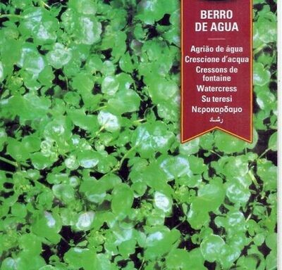 BERRO DE AGUA. 1,5 Gr/1500 Semillas para siembra