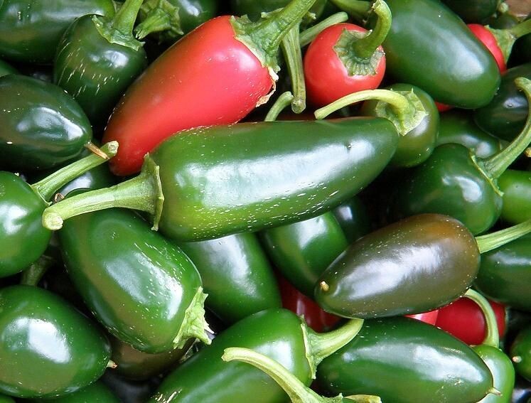 Semillas de Pimiento Picante Jalapeño. Capsicum Annuum. 1 gr / 140 Semillas