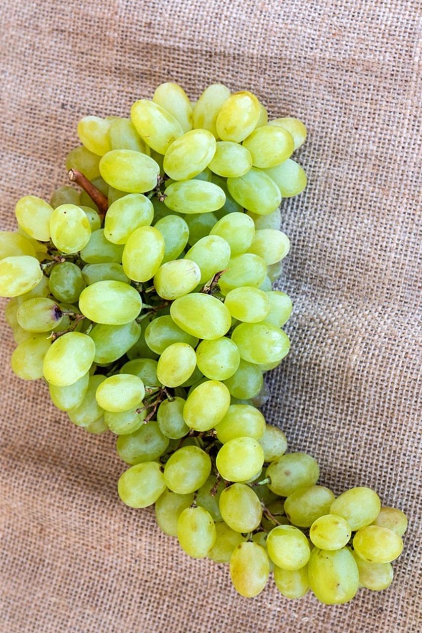 Planta Parra Uva de Mesa Superior Blanca A raiz desnuda. Sin Pepitas