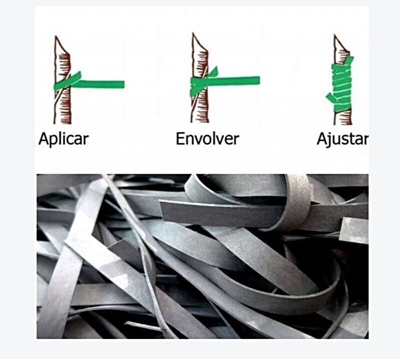 100 Cinta Injertar Elástica Injerto. 20 x 0,8 cm.