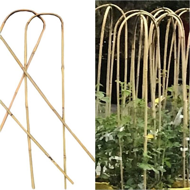 100 Unidades tutor ARCO Caña Bambu, 90 CM