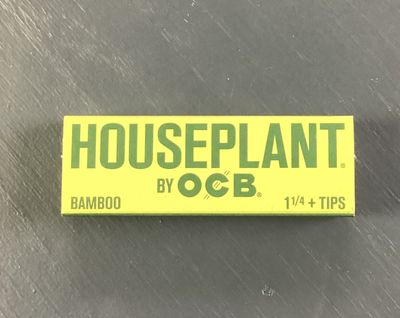 Houseplant 1&1/4 +tips