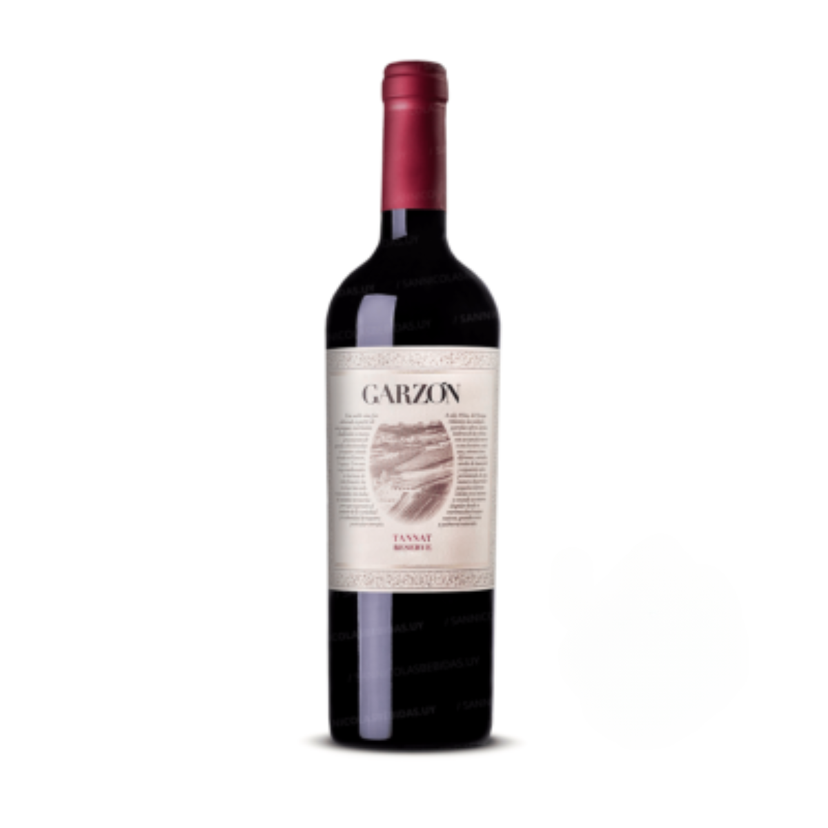 GARZON RESERVA TANNAT