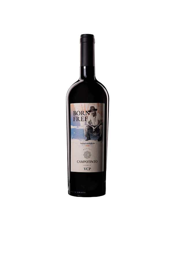 CAMPOTINTO BORN FREE TANNAT MARSELAN