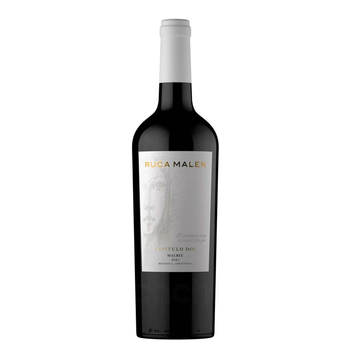 Vino Ruca Malen Capitulo Dos Malbec 750ml - Distribuidora San Nicolás