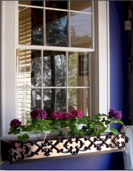 Window Boxes
