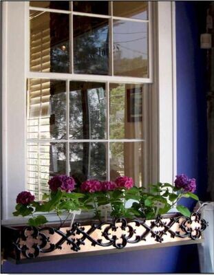 Window Boxes