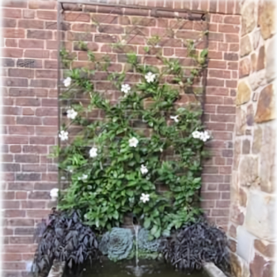 Elegant Climber: Diamond or Grid Trellis