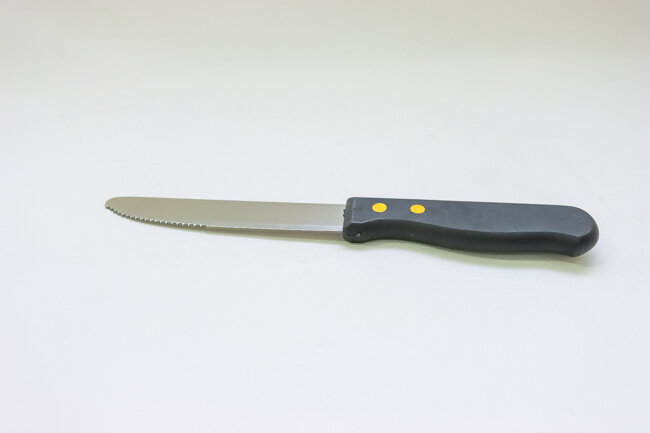 WTI 10" Steak Knife (1 Doz)