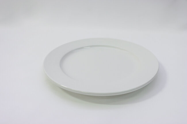 WTI 9 3/4" R.E. Plate Porcelana