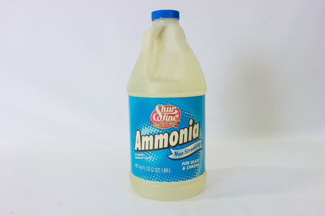 SF 64 oz Ammonia