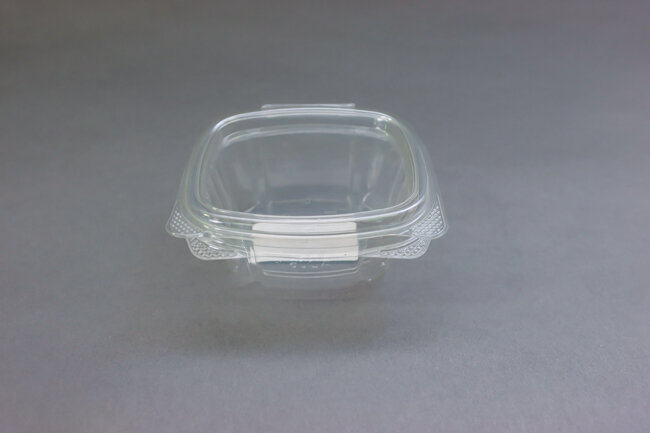 Genpak Clear Hinged Deli Container 100ct AD06