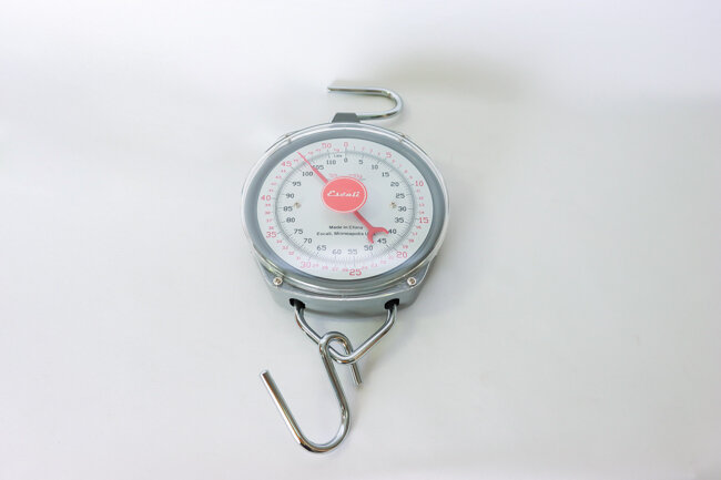 Escali Prof Hanging Dial Scale, 110 Lb / 50 Kg