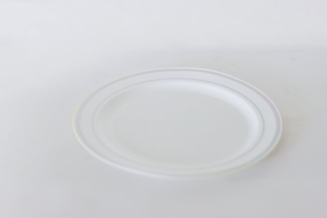 6" Masterpiece Plate White/Silver 15/Bag